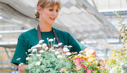 Commercial gardener woman taking care of her potted flowers