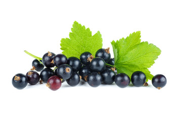 Small pile of fresh black currant berries