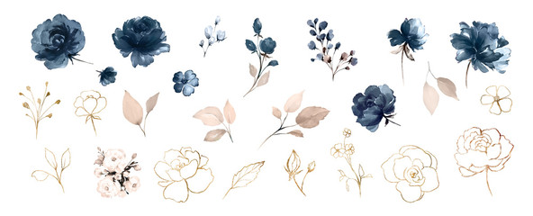 Set watercolor design elements of roses collection garden navy blue flowers, leaves, gold branches, Botanic  illustration isolated on white background.