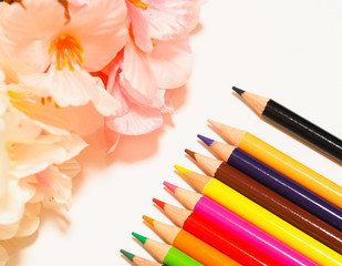 カラフルな文房具と桜