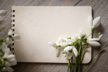 Snowdrops on table and blank white notebook with copy space