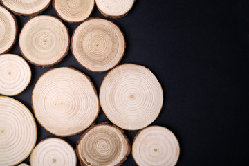 Pine tree cross-sections with annual rings on black background. Lumber piece close-up shot, top view.