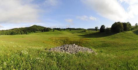 Bergwiese im Naturreservat Bijele und Samarske Stijene (Velika Kapela), Kroatien