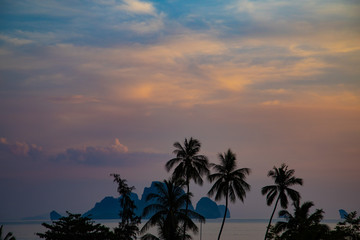 Fototapeta na wymiar Palm trees and tropical island on evening sky background at sunset