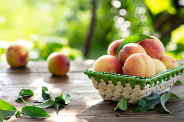 peaches on a blurred green background