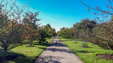 Royal Botanical Gardens Kew, London, United Kingdom
