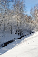 Obraz premium winter river in the forest