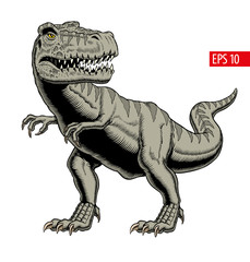 Tyrannosaurus rex or t rex dinosaur isolated on white. Comic style vector illustration. © ledokol.ua