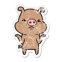 distressed sticker of a cartoon angry pig