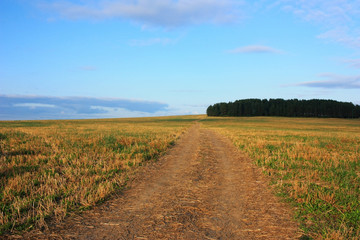 Empty country road in the field