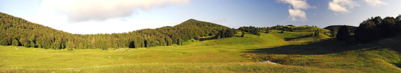 Bergwiese im Naturreservat Bijele und Samarske Stijene (Velika Kapela), Kroatien