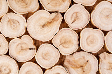 Texture of cross section juniper wood. Pattern of tree stump background. Circles slice of juniper.