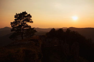 Sunrise sunset palatine forrest germany