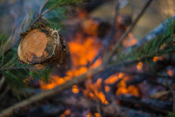 River and Fire