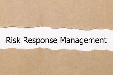 Risk Response Management written 