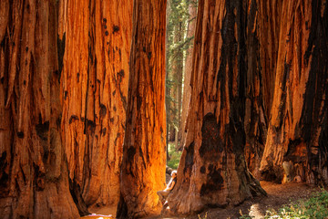 Hiker in Sequoia national park in California, USA