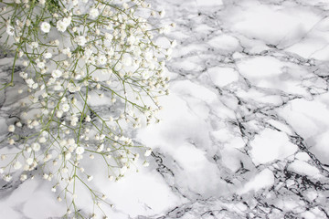 Summer white flowers on white marble background. marble texture with a natural pattern