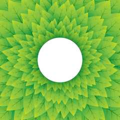 nature green circular background