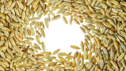 White Free Space is Surrounded by Wheat Grain. Flat Layer with Space for Text. Empty Blank Background. White Backdrop with Wheat Grain