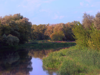 The twisting river flows between trees in the forest. Beauty of the nature in the summer. The...