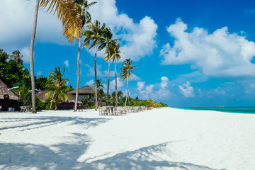 Maldives with turquoise clear water and many palm trees and clouds in the sky