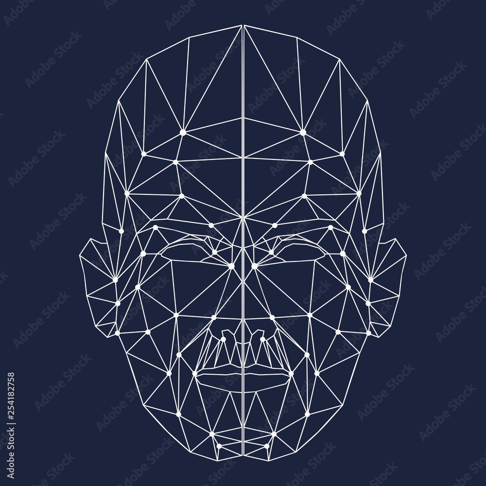 Wall mural human face low polygon. wireframe mash head shape consisting of connected dots and lines. abstract h