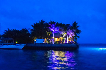 Obraz premium Maldives at night from the boat with the turquoise water in the foreground and palm trees