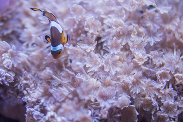 FOTOKUTKOWSKA © fotokutkowska