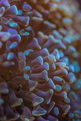 FOTOKUTKOWSKA © fotokutkowska