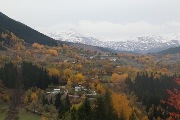 Autumn forest and village photos.savsat/artvin turkey 