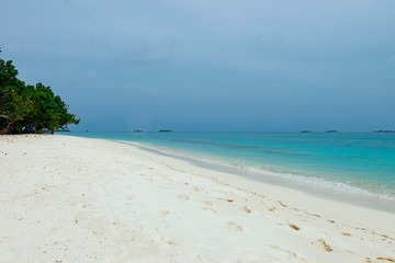 Fototapeta na wymiar Maldives with turquoise clear water and many palm trees and clouds in the sky