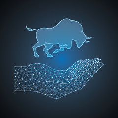 bull stock polygon hand