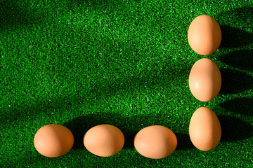 Easter frame arranged from natural eggs, lying in sunlight on green grass background.
