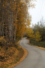 Obraz premium Autumn forest and village photos.savsat/artvin turkey 