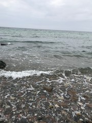 coast of island Rügen