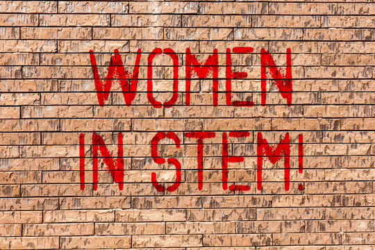 Word writing text Women In Stem. Business photo showcasing Science Technology Engineering Mathematics Scientist Research Brick Wall art like Graffiti motivational call written on the wall