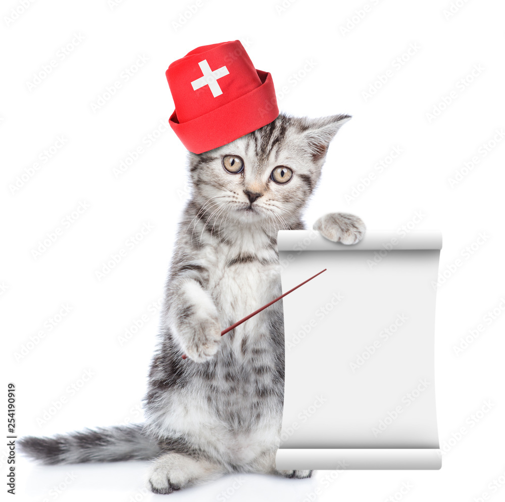 Poster Funny kitten in medical hat pointing on empty list. isolated on white background
