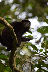 Panama 