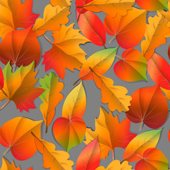 Seamless Autumn pattern orange, yellow, brown red fall forest leaves .