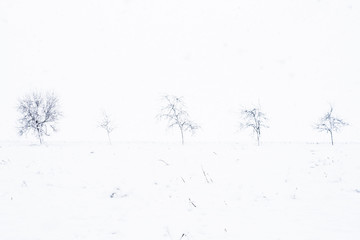 Snow