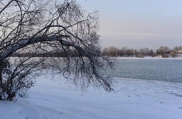 winter landscape with trees and snow