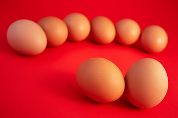 chicken eggs