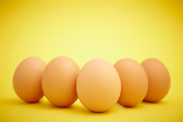 chicken eggs