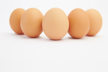 chicken eggs