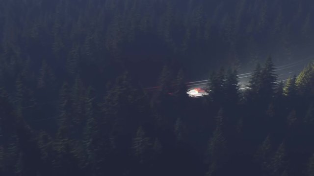 Night scene of a police chase on a curvy road with trees flashed by headlights.