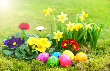 Ostern, Ostereier, Wiese, Frühlingsblumen, Sonne, Textraum, copy space