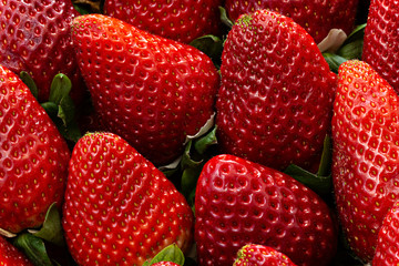 Fresas.