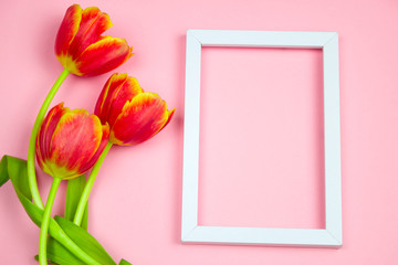 top view red tulips and empty white frame on a pastel pink background