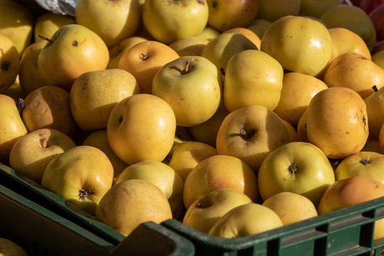 fresh organic yellow apples on  market place