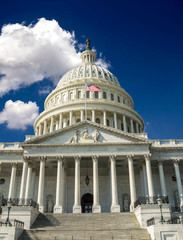 Obraz premium Capitol Building, Washington DC